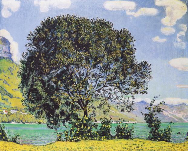 Une vue du lac de Brienz depuis Bodeli par Ferdinand Hodler