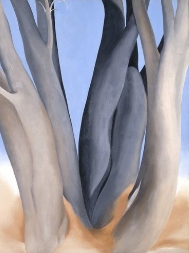 Troncs d'arbres de Georgia O'Keeffe