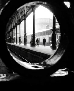 Focus, photo de João Cabral