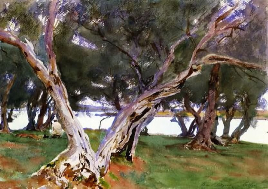Oliviers à Corfu par John Singer Sargent