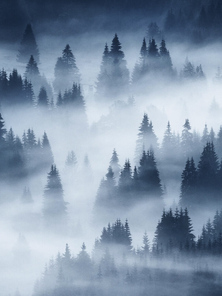 Photo de Kilian Schönberger