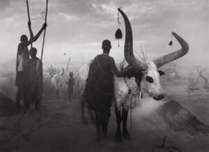 Photo de Sebastião Salgado