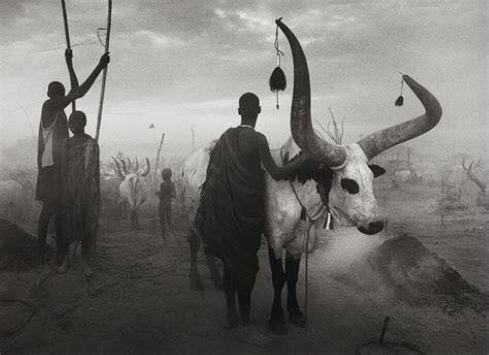 Photo de Sebastião Salgado
