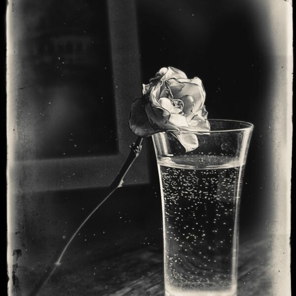 Photo de Shuichi Machimoto