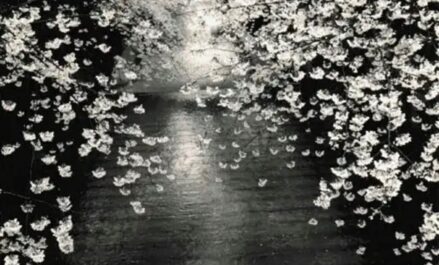 Masao Yamamoto