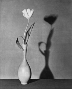 Photo de Robert Mapplethorpe