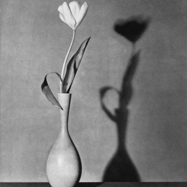 Photo de Robert Mapplethorpe