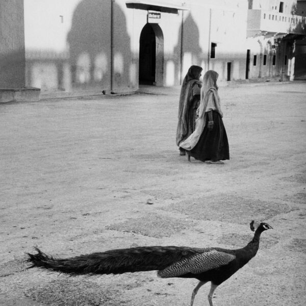 Jaipur, Inde, photo de Marc Riboud