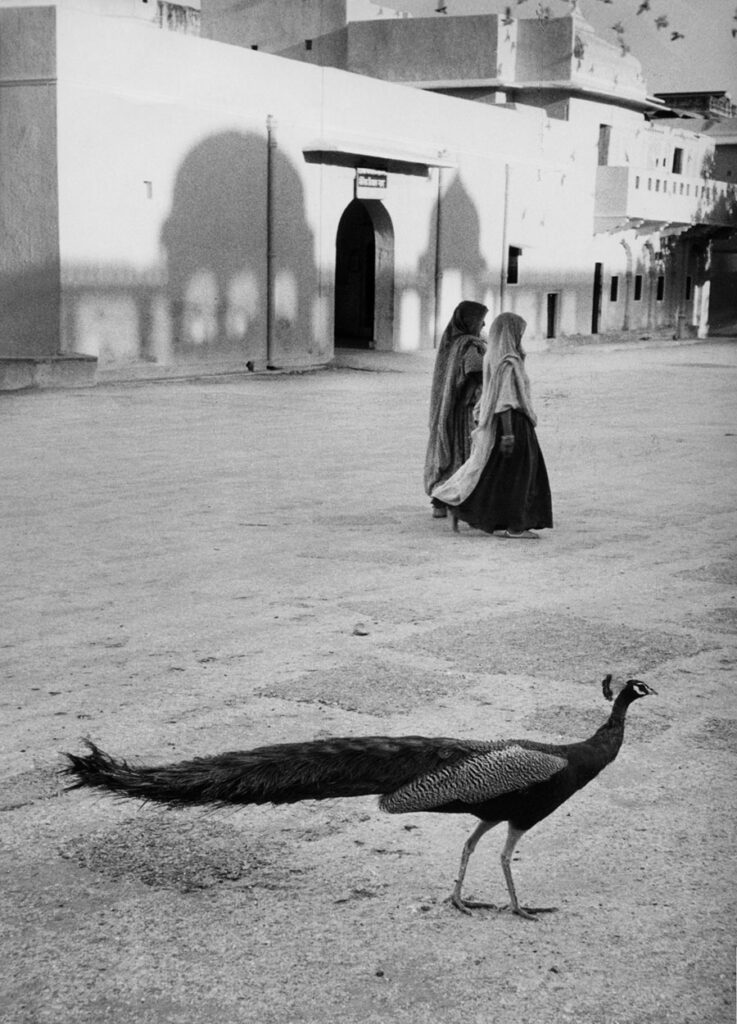 Jaipur, Inde, photo de Marc Riboud