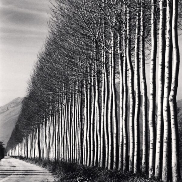 Photo de Michael Kenna