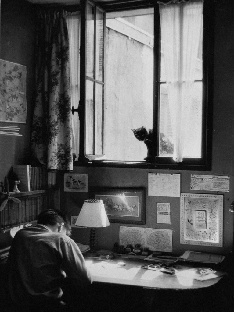 Photo de Willy Ronis