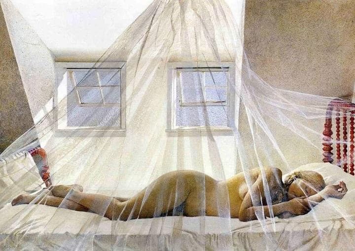 Jour de rêve (1980) d'Andrew Wyeth