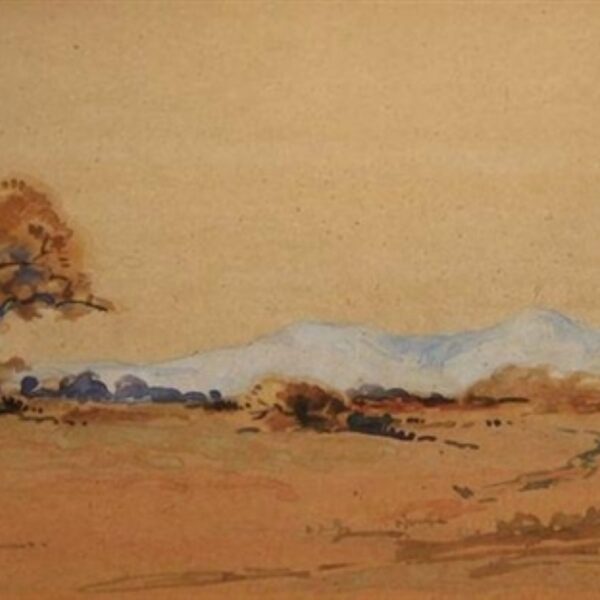 Collines bleues par Walter Battiss