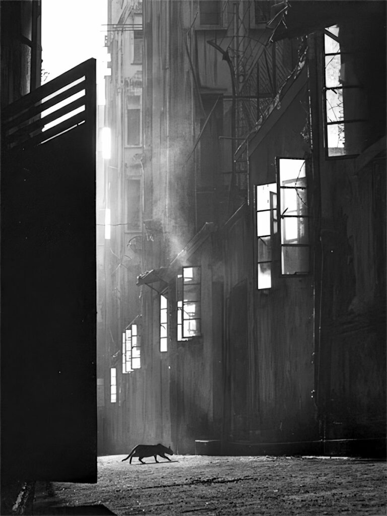 Photo de Fan Ho 