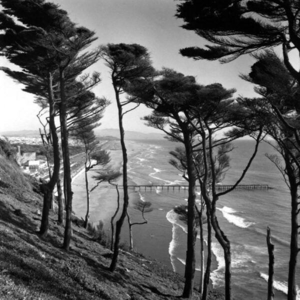 Photo d'Imogen Cunningham