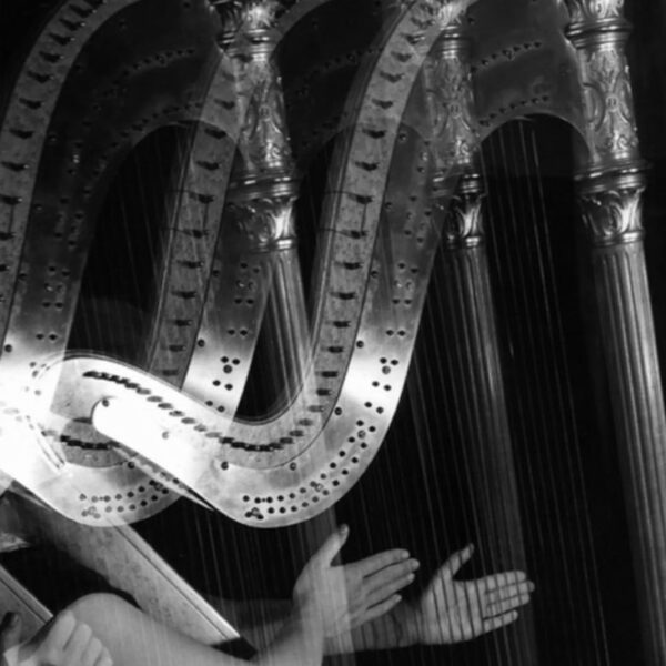 Photo d'Imogen Cunningham