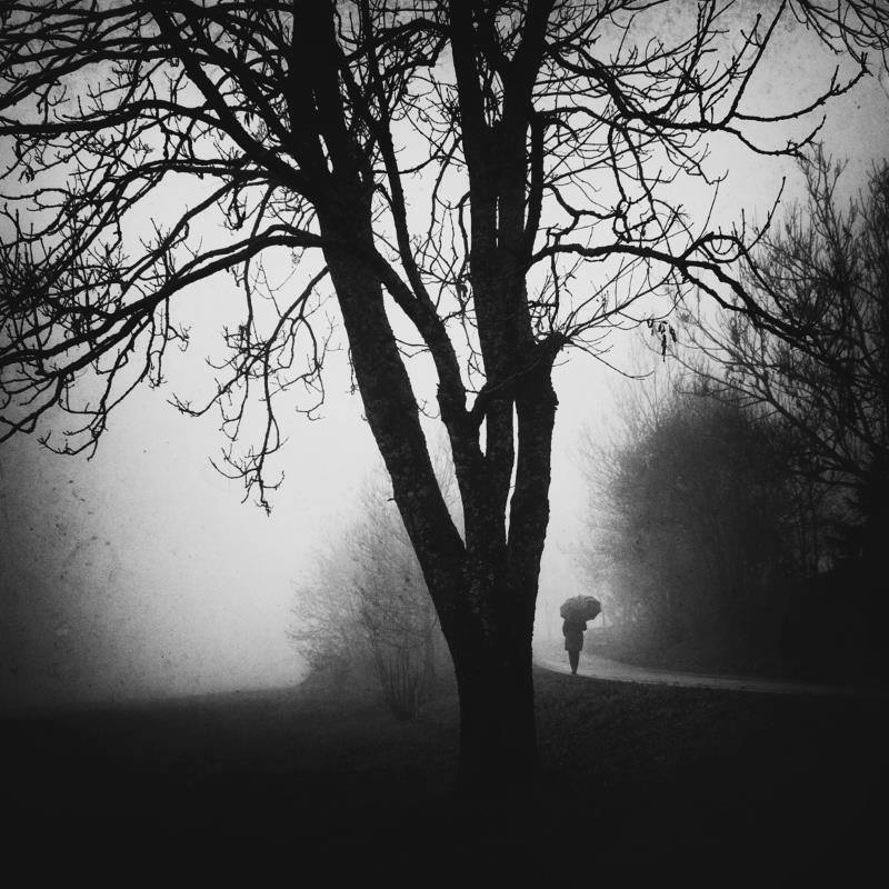 Photographie d'Ando Fuchs
