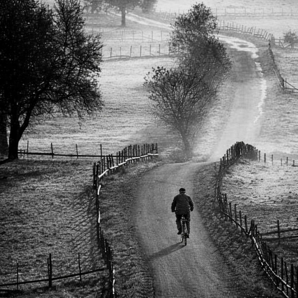 Photo de Rolando Olly