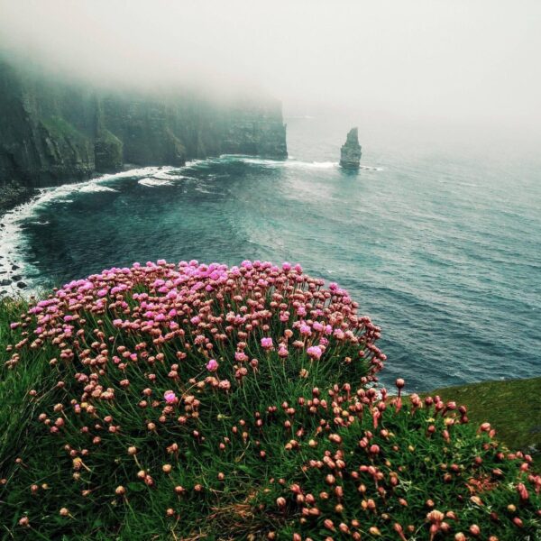 Falaises de Moher