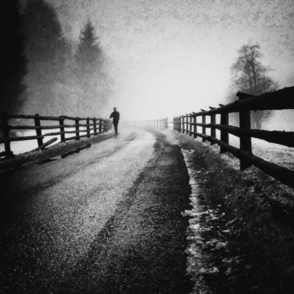 Ando Fuchs