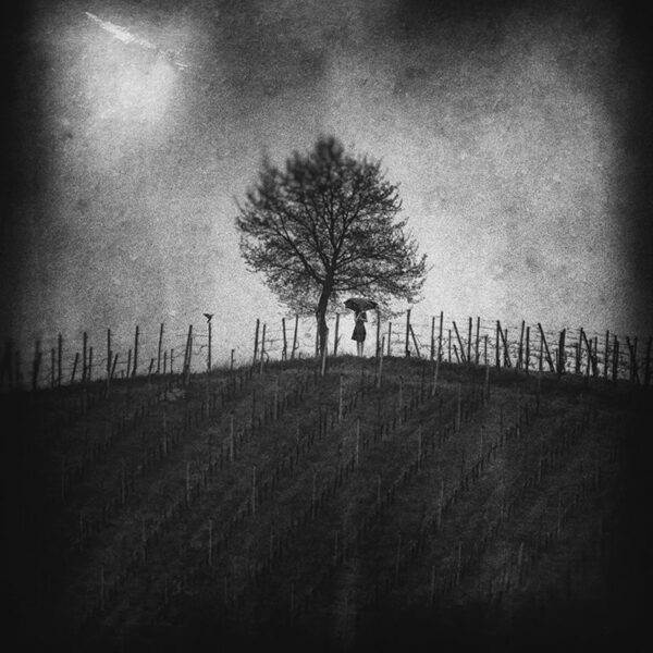 Photo d'Ando Fuchs