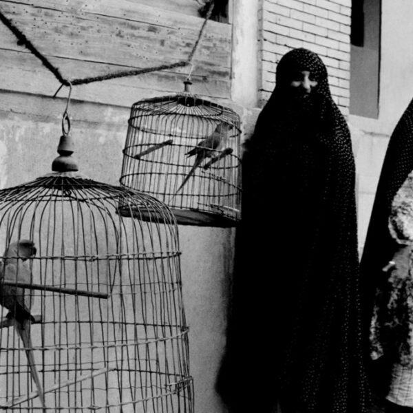 Femmes voilées et perroquets en cage, Shiraz, Iran, photo d'Inge Morath