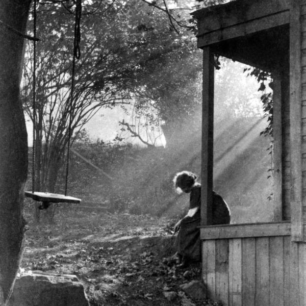 Brume matinale et soleil (1911) - Imogen Cunningham