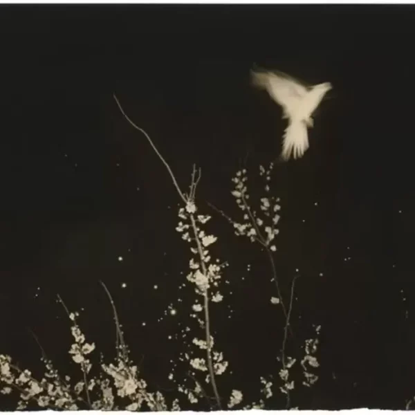 Masao Yamamoto